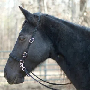 AVERAGE side pull hackamore  with black chinstrap
