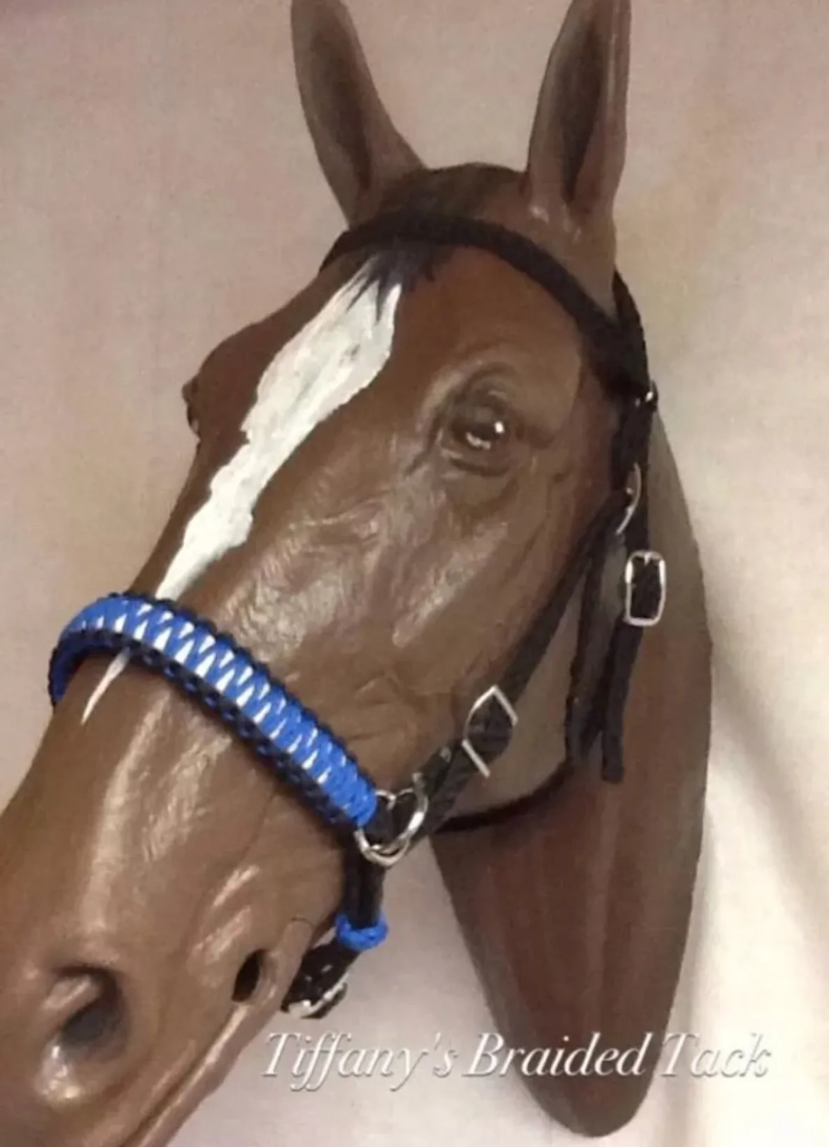 AVERAGE side pull hackamore  with black chinstrap