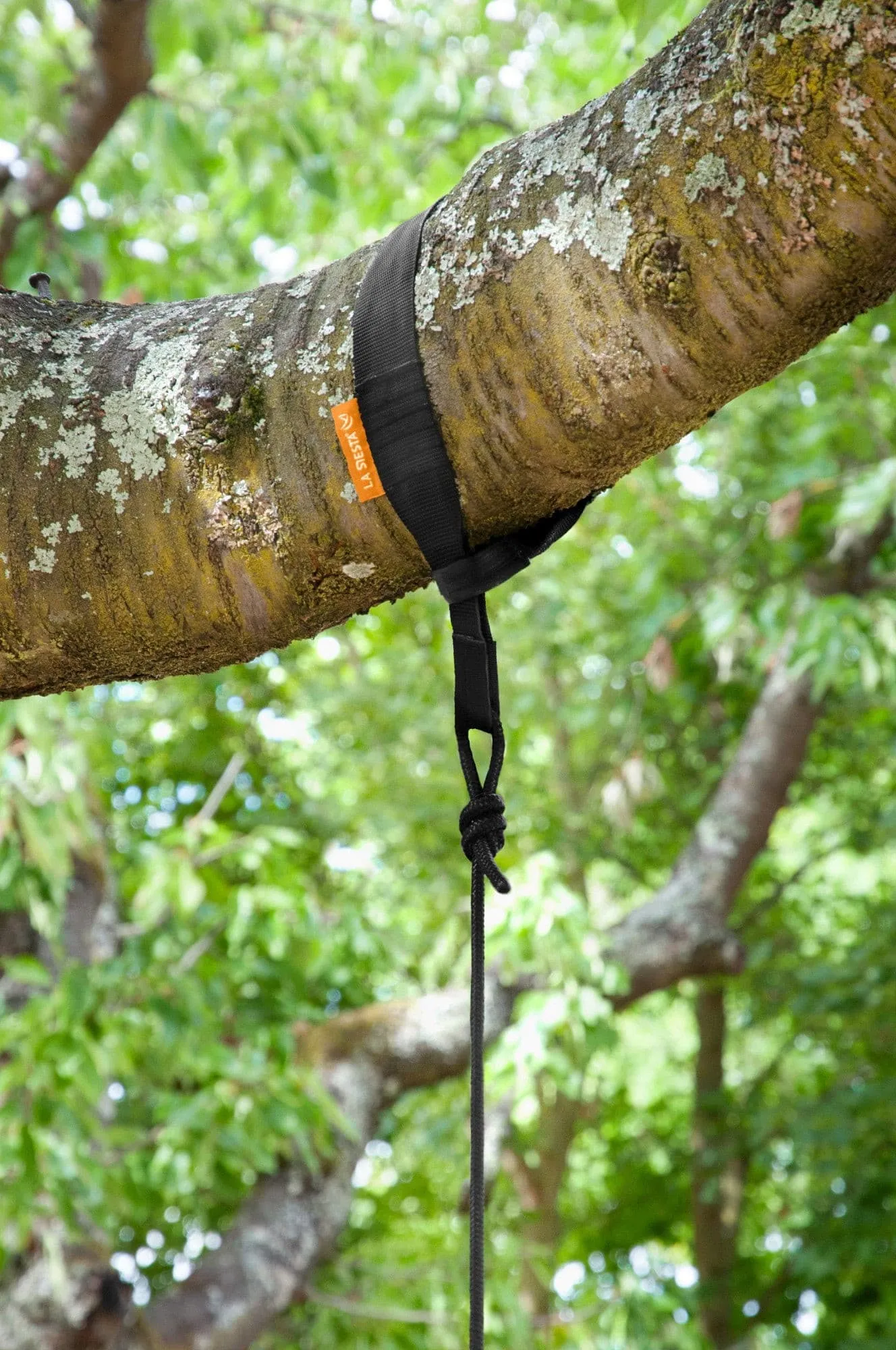 ZunZun Sunrise - Travel Hammock Chair with Suspension